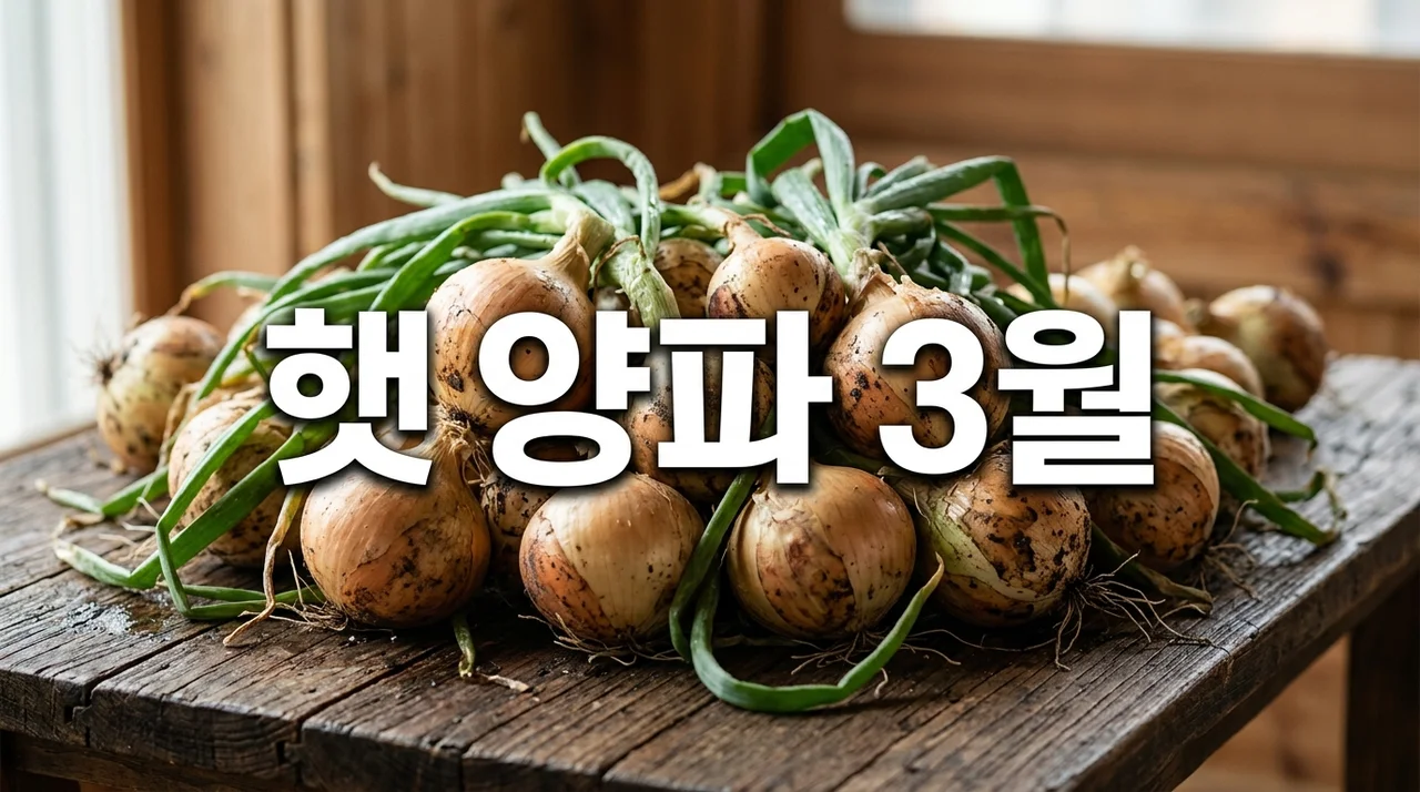 3월 햇양파: 제철 효능, 고르는 법, 완벽 활용 레시피로 건강 UP!