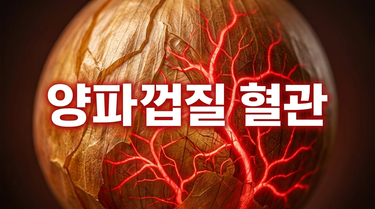 양파껍질 혈관 건강의 기적: 퀘르세틴 효능부터 활용법까지 완벽 가이드