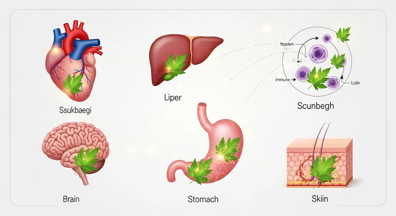 과학으로 증명된 씀바귀의 놀라운 효능 7가지