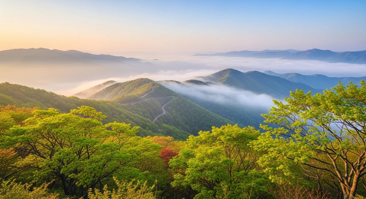 좋은 고로쇠물 고르는 방법
