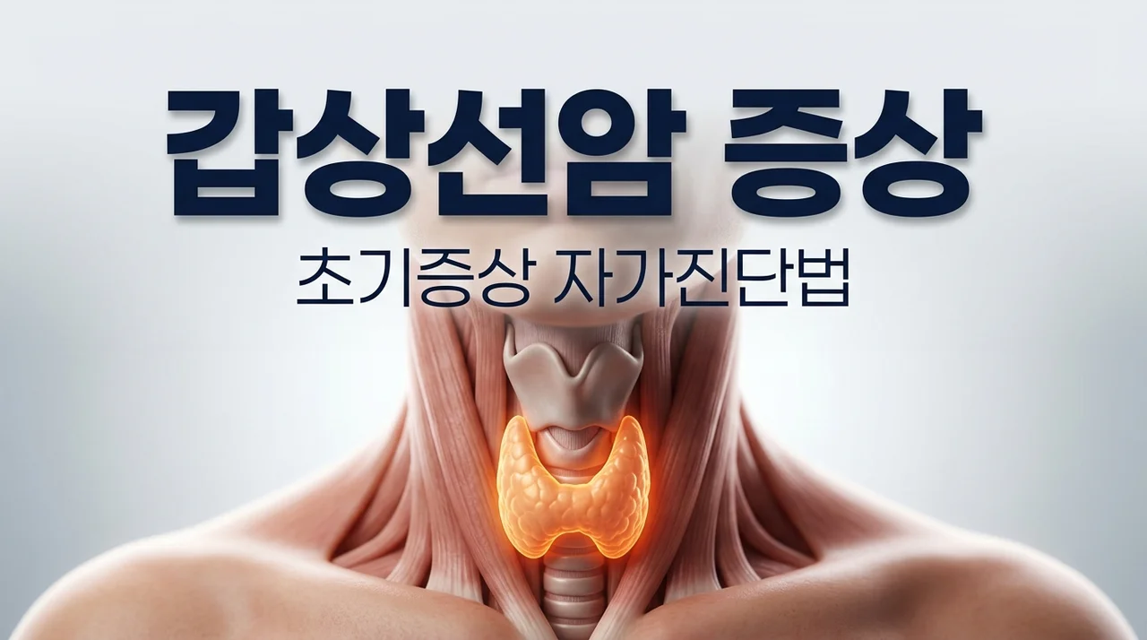 갑상선암 증상 5가지와 목의 멍울 자가진단법 (1기~4기 총정리)