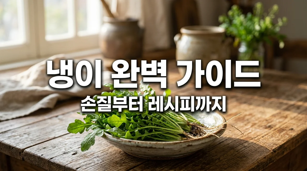 냉이 손질법부터 효능 레시피까지! 봄 향기 가득한 냉이 요리 총정리