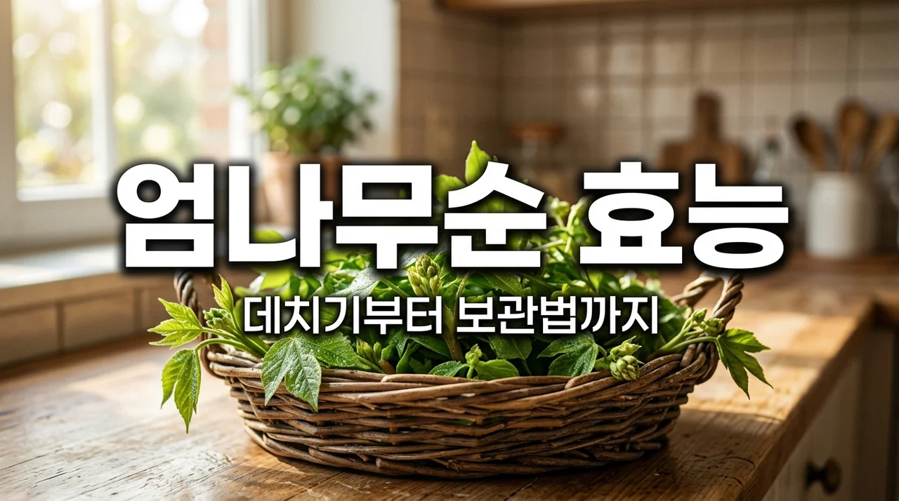 엄나무순 효능 및 데치기 보관법 총정리! 봄나물 제왕 개두릅 먹는법