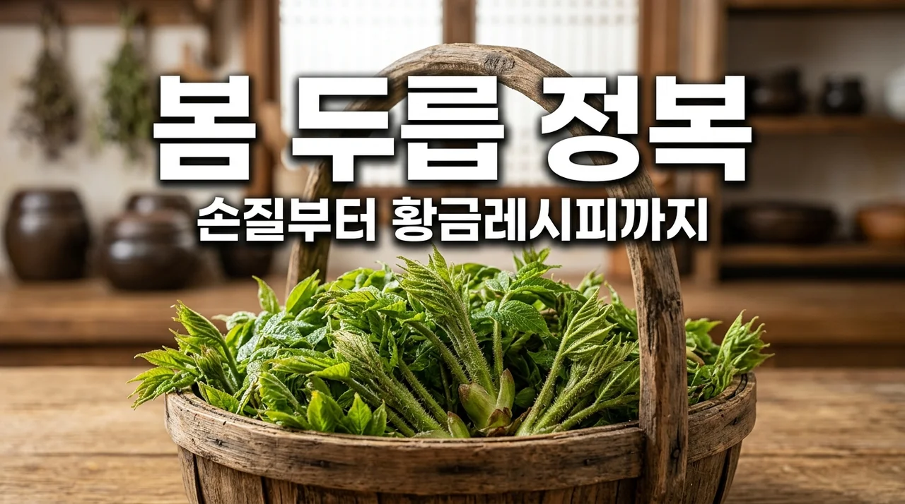 두릅 데치기 시간 및 손질 보관법 총정리! 봄나물의 제왕 완벽 가이드