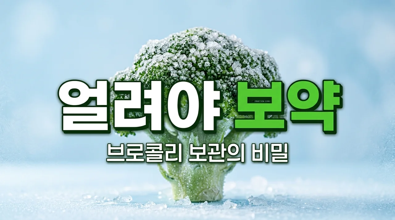 브로콜리 냉장고 넣지 마세요! 영양소 2배 높이는 '냉동 보관'의 비밀