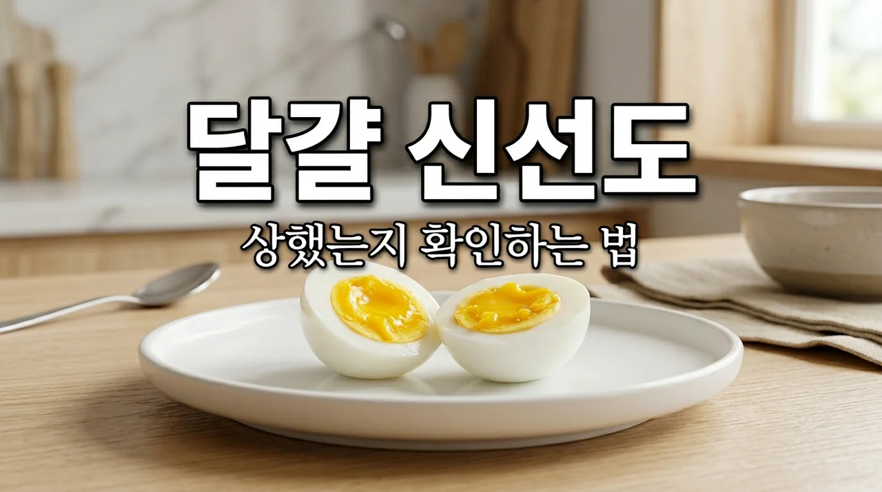 삶은 달걀 신선도 확인법 5가지와 상한 달걀 구별하는 꿀팁