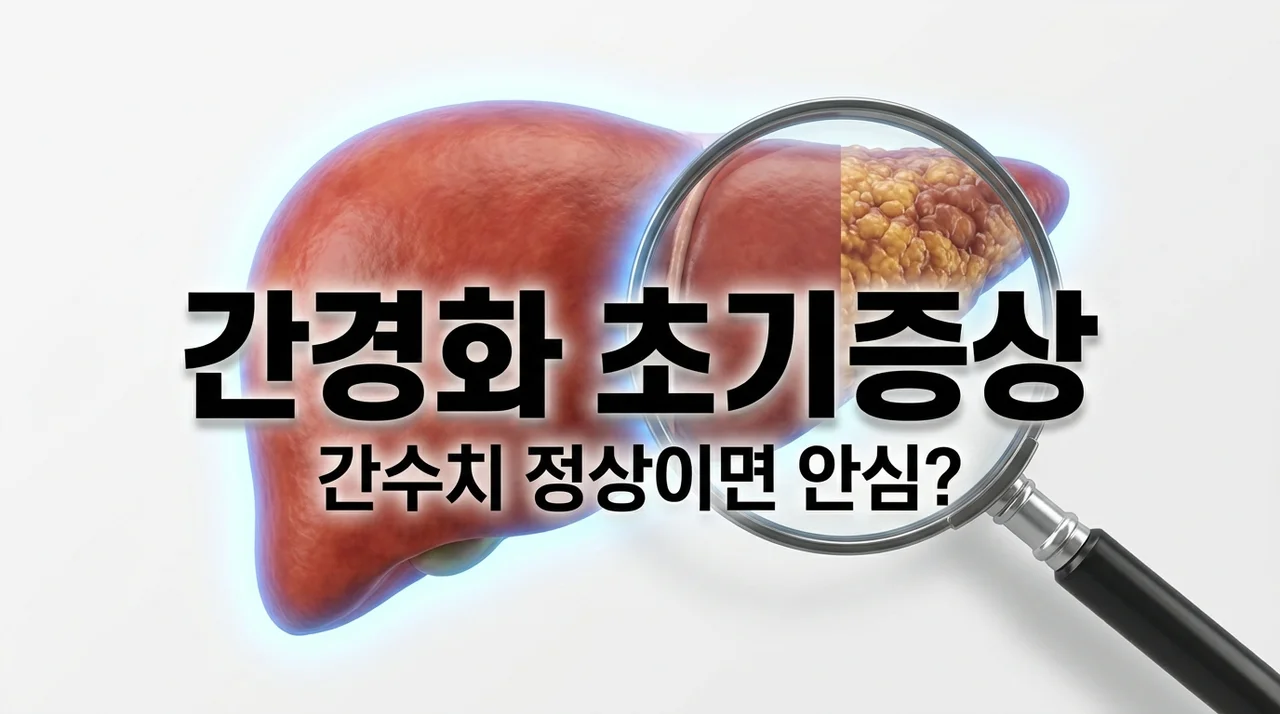 간경화 초기증상과 간수치 변화, 정상이라도 안심 못하는 이유 3가지