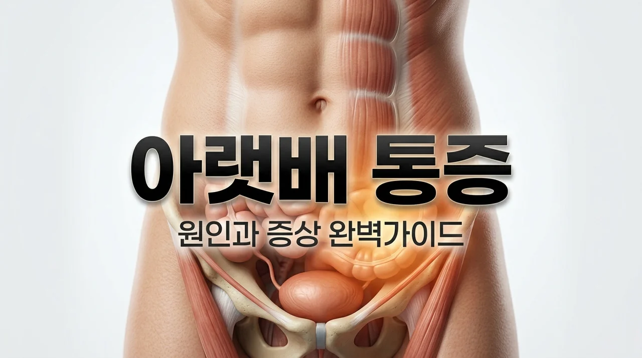 아랫배통증 원인 7가지와 부위별 의심 질환 및 대처법 완벽 정리