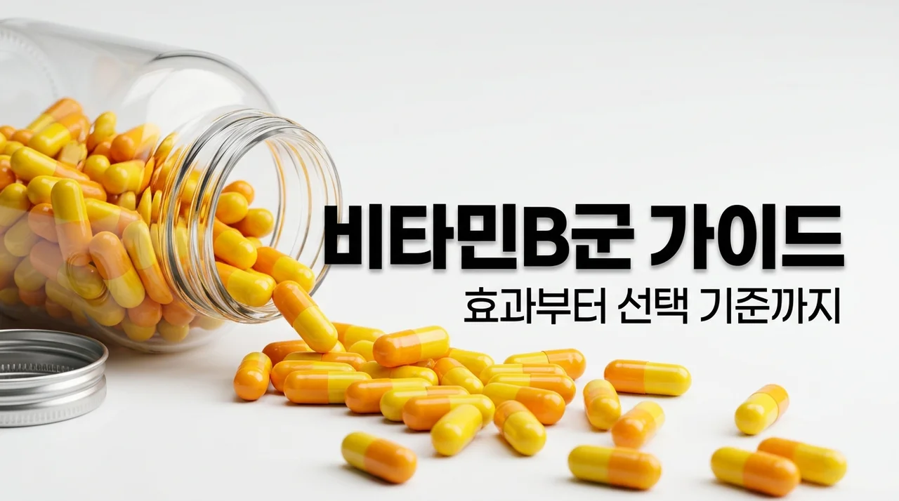 비타민B군 종류 효과 총정리! 실패 없는 선택 기준 5가지