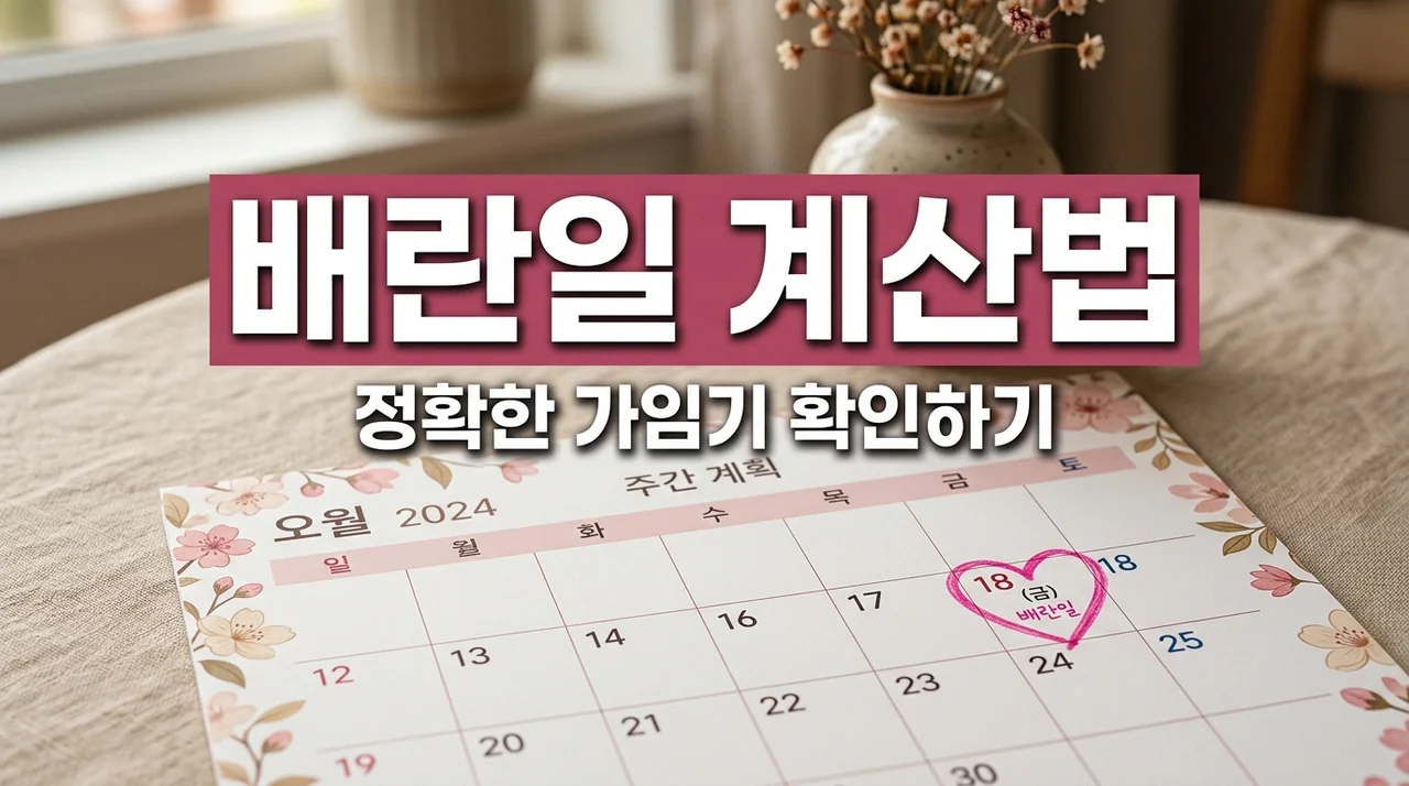 배란일계산법 정확하게! 가임기 임신확률 높이는 3가지 필승 전략