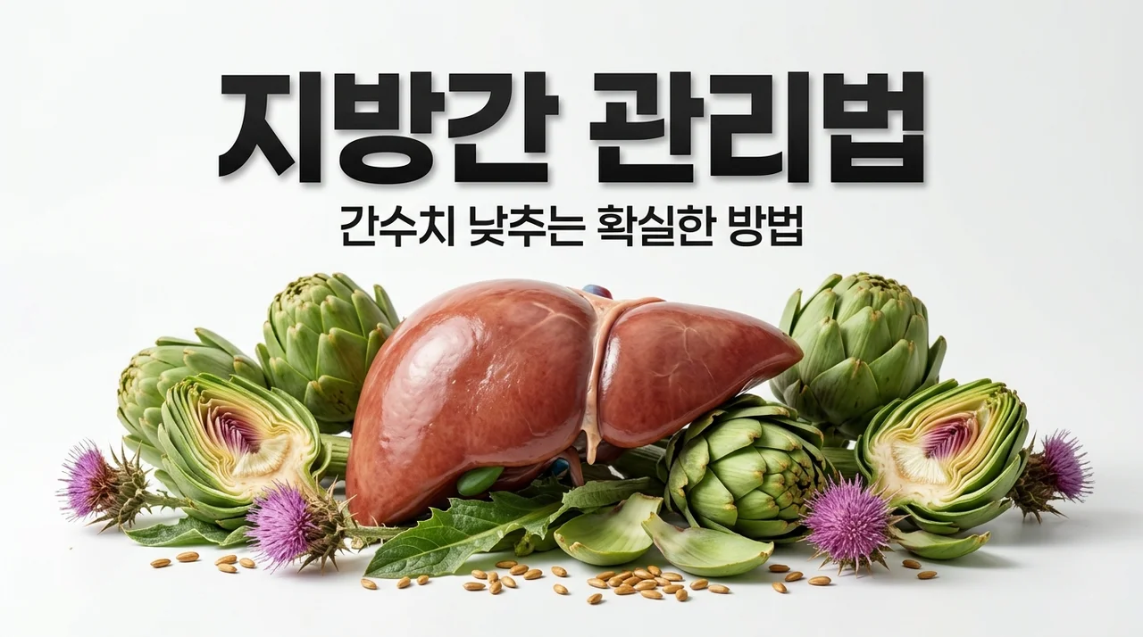 지방간 영양제 효과와 수치 낮추는 법: 밀크씨슬부터 식단까지 총정리