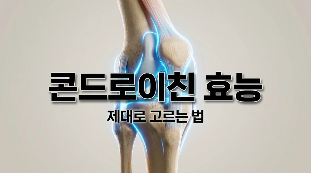 콘드로이친 효능 제대로 알고 고르는 법! 1200 복용 전 필수 확인