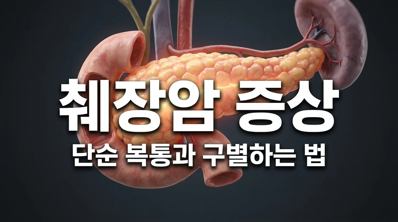 단순 복통인 줄 알았는데? 췌장암 증상 초기 신호 5가지와 감별법