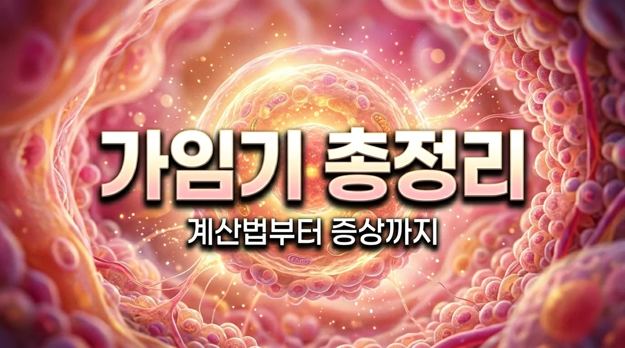 가임기 계산 방법 및 증상 총정리! 임신 확률 높이는 꿀팁