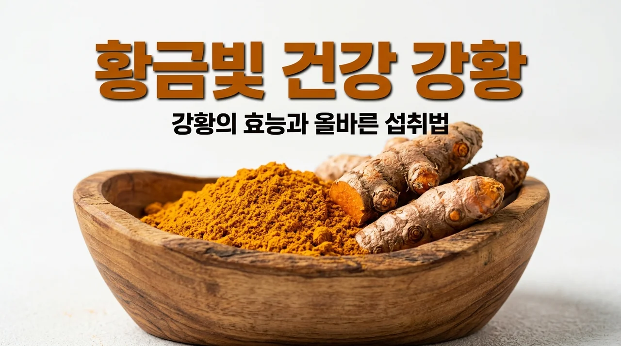 강황의 효능 7가지와 커큐민 흡수율 높이는 법 (부작용 포함)