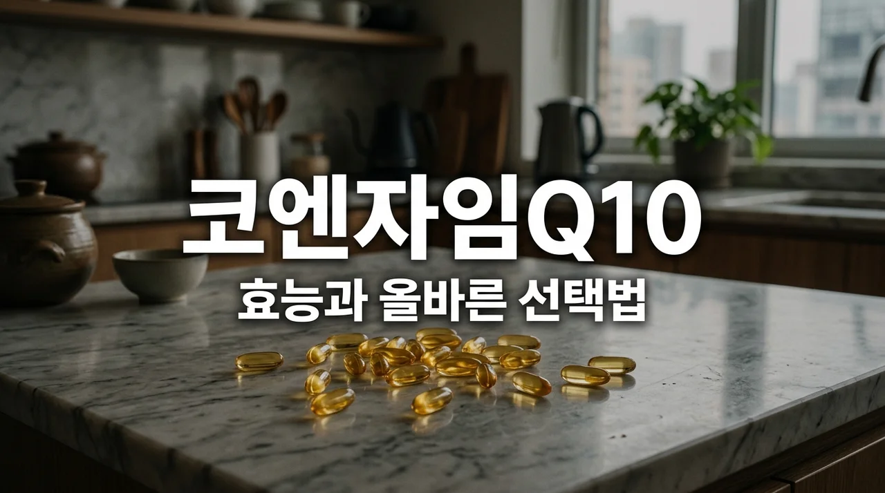 코엔자임Q10 효능 부작용 및 복용법: 2026년 필수 영양제 가이드