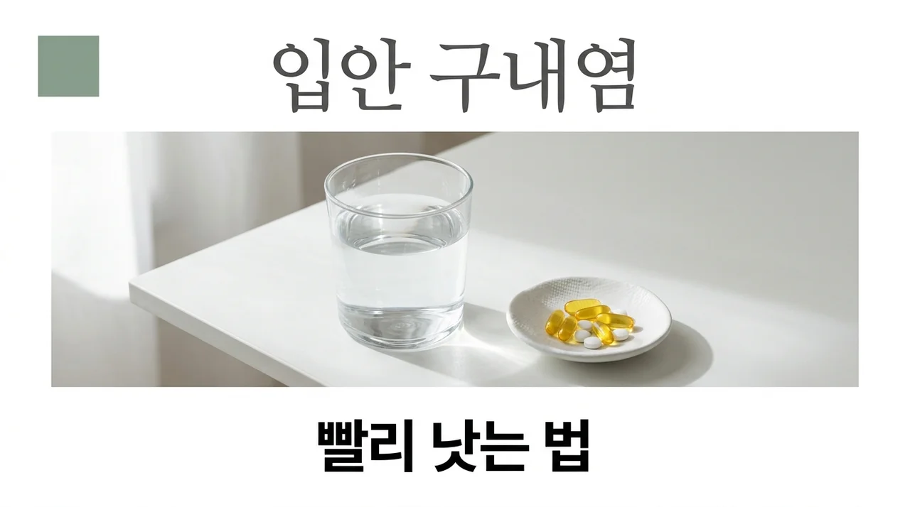입안 구내염 빨리 낫는 법 5가지와 원인 약 영양제 완벽 가이드