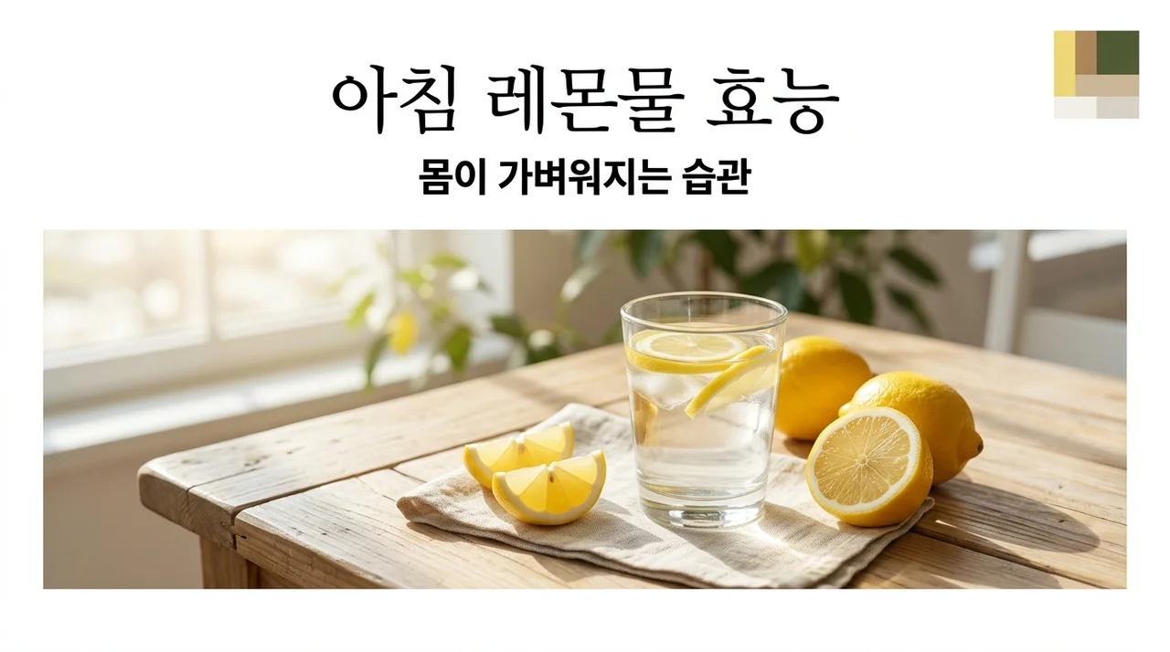 아침 레몬물 효능 7가지와 부작용 없는 올바른 섭취법 총정리