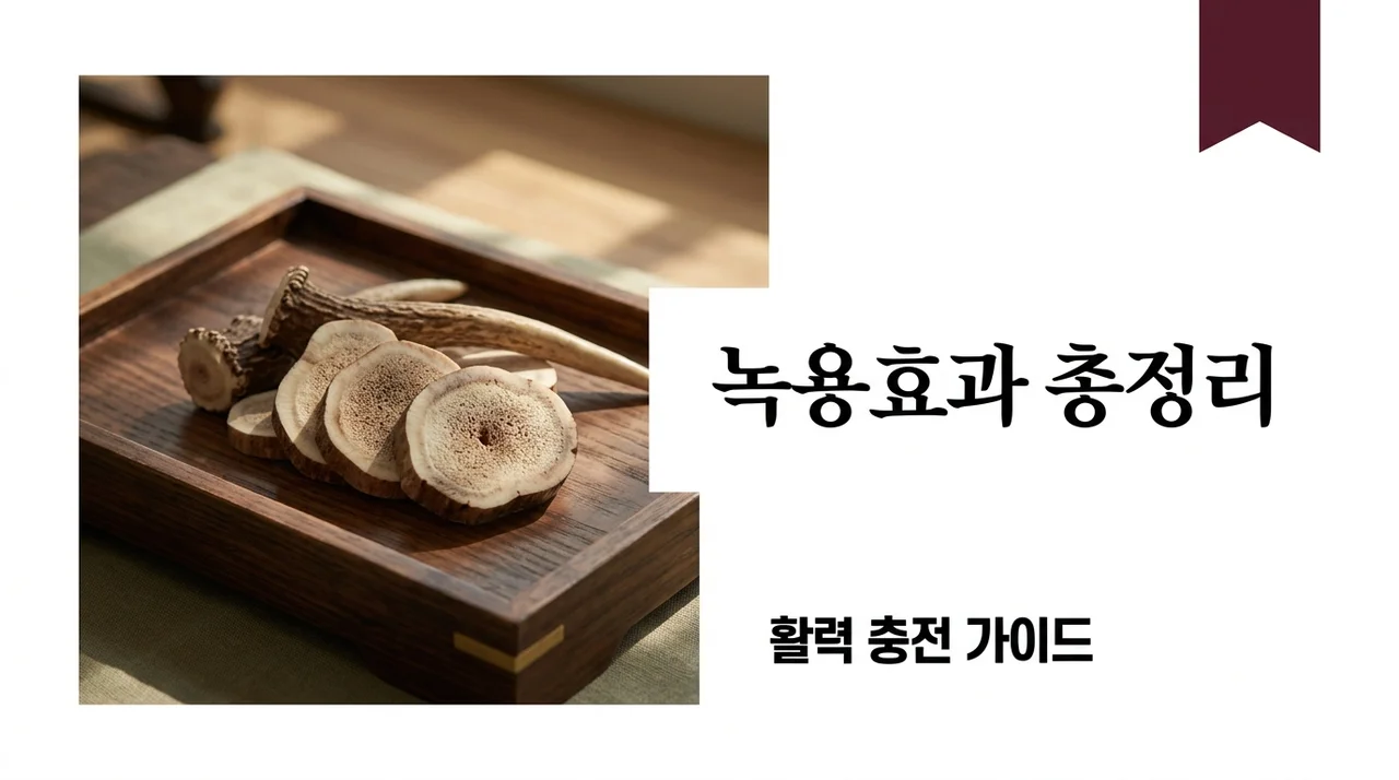 녹용효과 5가지 총정리: 기력 회복과 면역력 증진을 위한 필수 가이드