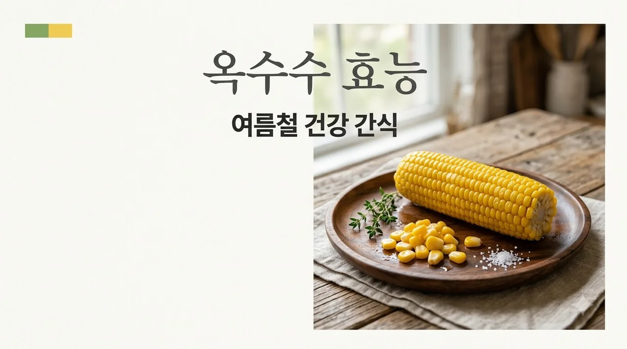 옥수수 효능 7가지와 부작용! 여름철 최고의 간식 완벽 가이드