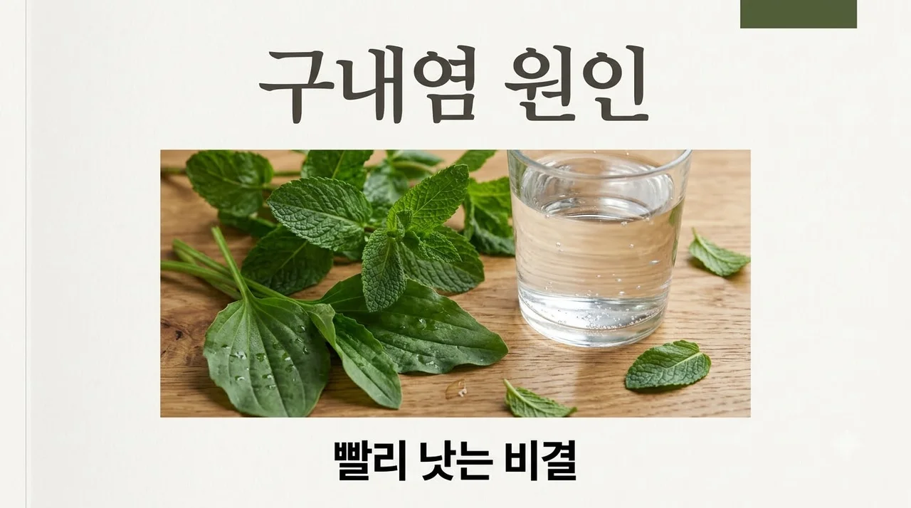구내염 원인 및 빨리 낫는 법 5가지 총정리 (입병 원인 치료)