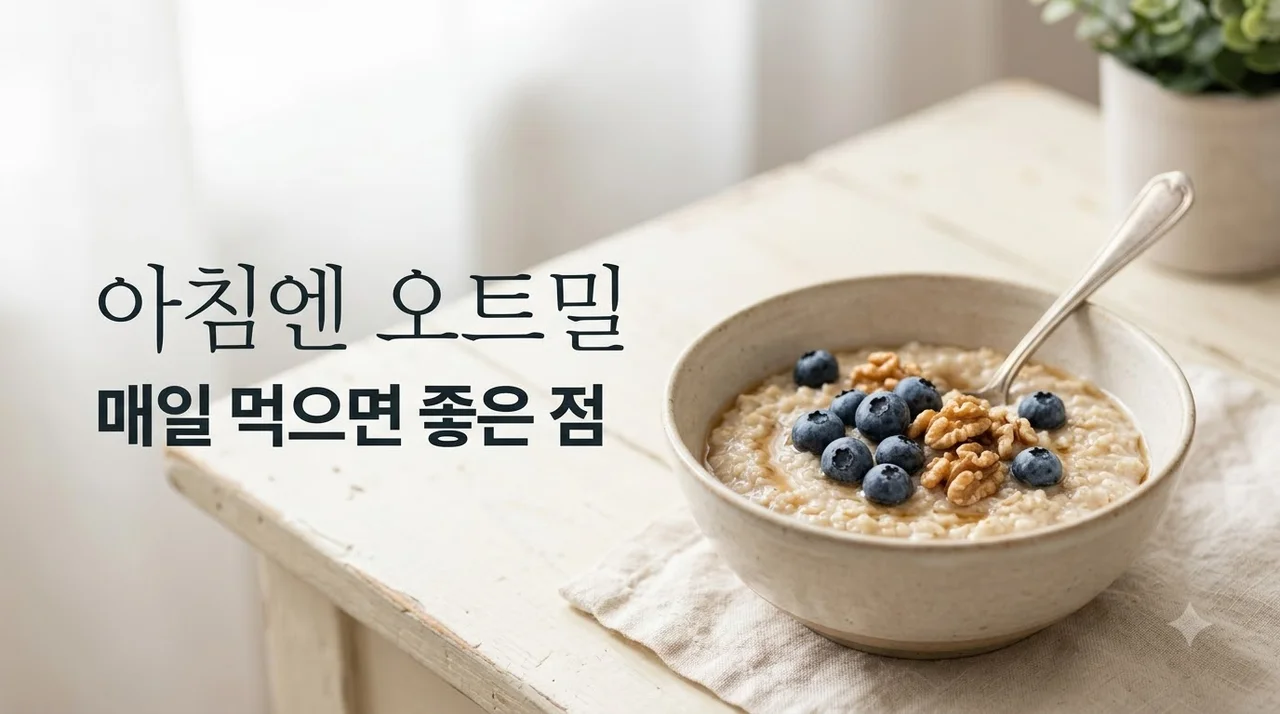 아침 식사 추천 순위 오트밀 효능 및 매일 먹으면 좋은 점 총정리