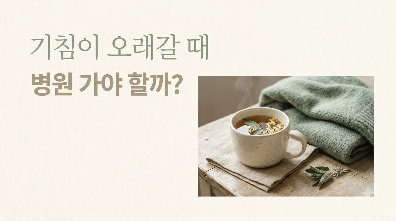 기침이 오래갈 때 병원 가야 하는 기준과 증상별 대처법 3가지