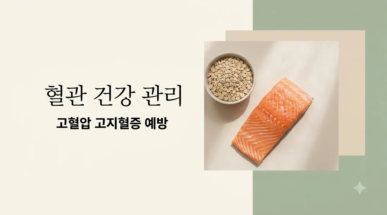 혈관 건강 관리 방법 고혈압 고지혈증 동시에 예방하는 5가지 습관