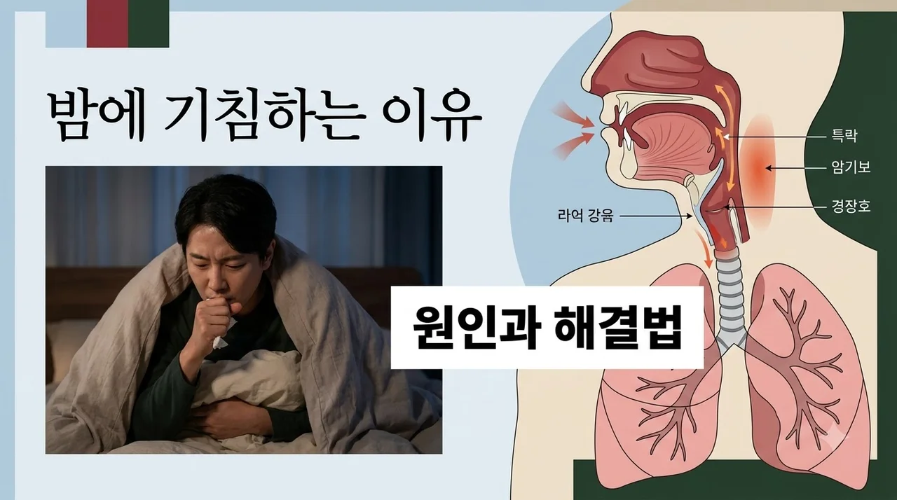 밤에 기침하는 이유, 자려고 누우면 심해지는 5가지 원인 해결법